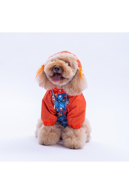 Amsterdam Fall Turuncu Yaprak Desenli Köpek Mont Köpek Yağmurluk Köpek Kıyafeti Köpek Elbisesi
