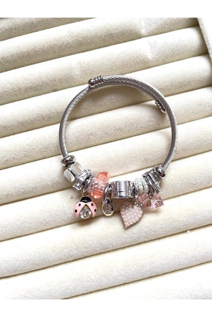 Steel Charm Bracelet