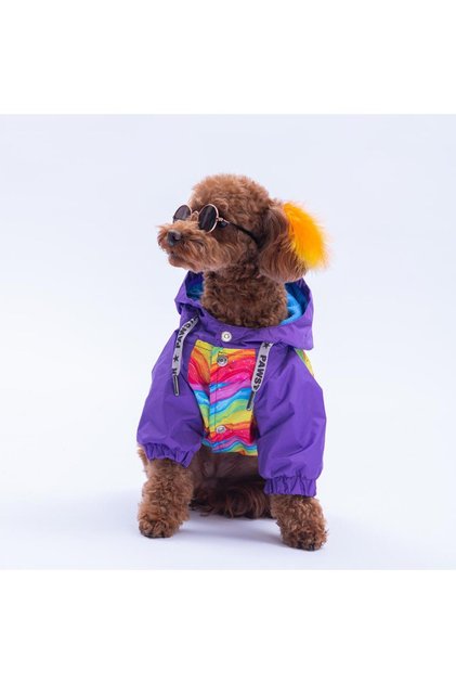 Rio Rainbow Mor Gökkuşağı Desenli Köpek Mont Köpek Yağmurluk Köpek Kıyafeti Köpek Elbisesi