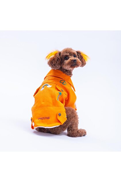 Orange Cancun - Cancún Jacket Gabardine Snap Fastener Cat Dog Jacket Cat Dog Outfit Cat Dog Clothes