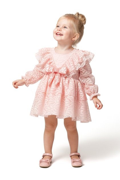 Baby Girl Dress Girls' Dress Collared Birthday Party Wedding Special Occasion Long Sleeve Bowknot Lined