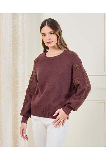Women Brown Embroidered Pullover