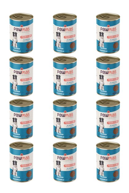 Somonlu Yetişkin Köpek Konservesi 400 gr X 12 Adet