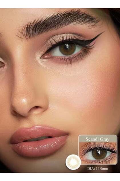 Freshlady Colored Lenses Scandi Gray 14.00mm Yearly Disposable for Daily Wear