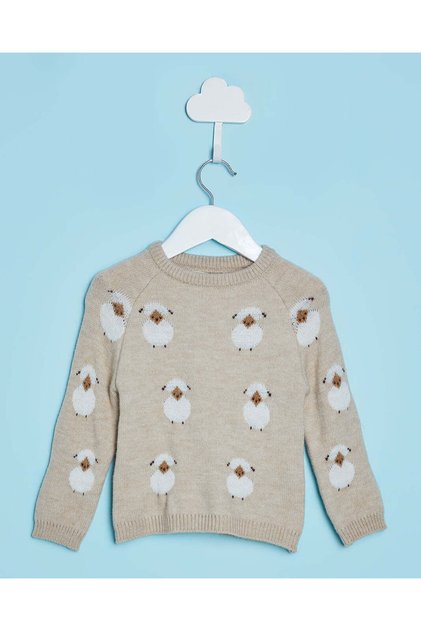 Infant Boys Beige Printed Sweater