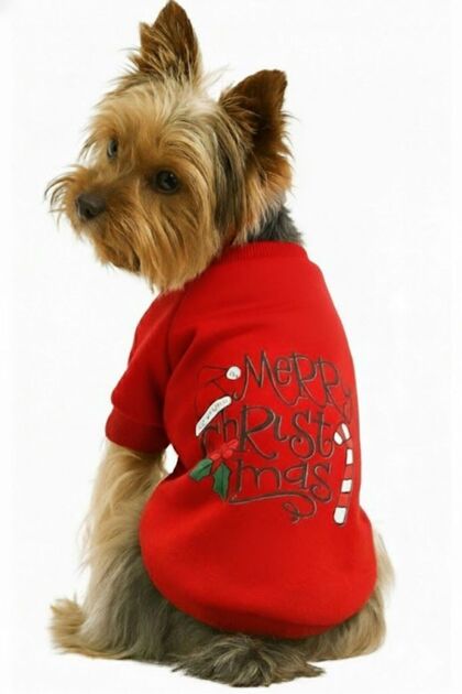Cristmas Series Sweat Cat Dog Outfit