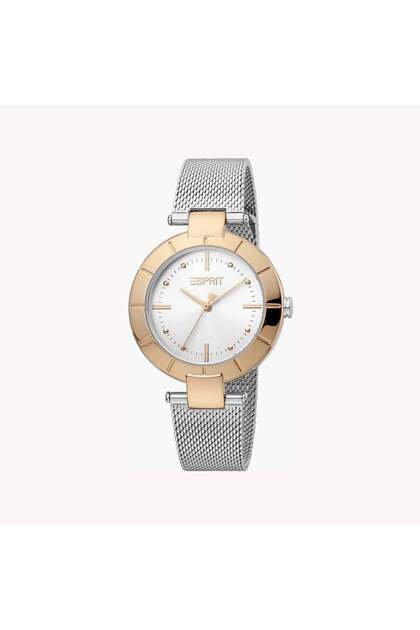 Women's Silver Stainless Steel Watch, Silver Dial | Es1l191m0025