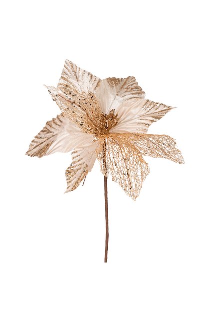 New Year's Flower, Champagne - 30 cm