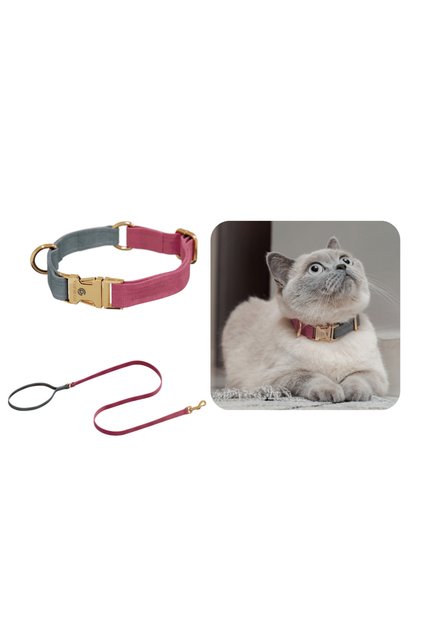 Supreme Kedi Boyun Tasma Seti