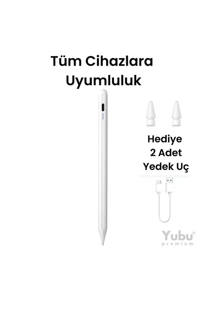 Compatible with All Touch Devices Ios-Android-Windows Tablet iPad Writing & Drawing Pen Two Tips Gift