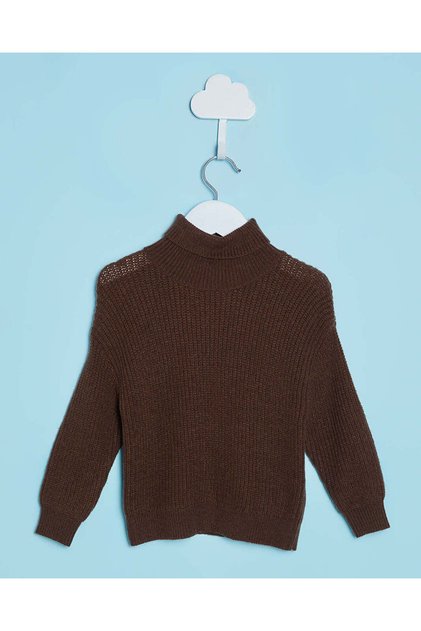 Infant Boys Brown High Neck Sweater