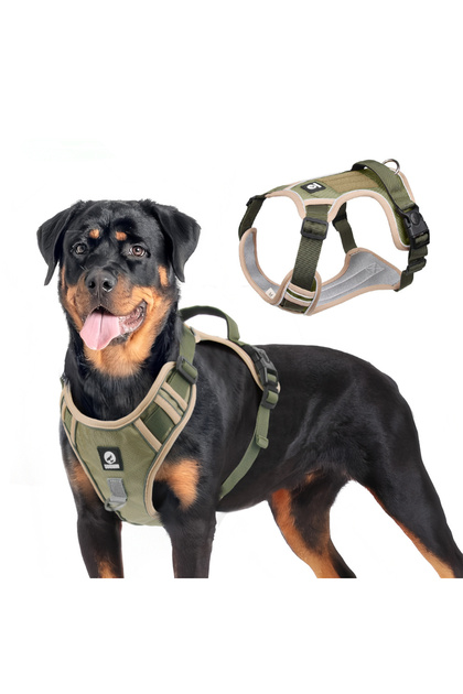 YACEL Köpek Tasması ve Gezdirme Halatı Gögüs ve Sırt Setli (Reflektörlü)