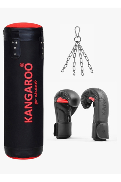 A complete boxing set consisting of a boxing bag with gloves and a locking chain.