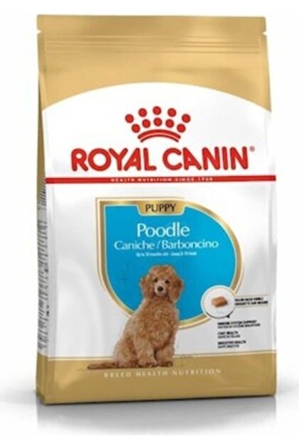 Puppy Poodle 3 kg