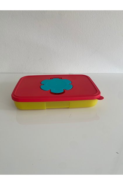 Tupperware Tissue Box
