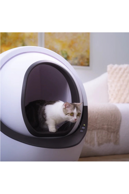 aclıum Otomatik Kedi Tuvaleti 64x64x72cm - Fiyatı, Yorumları