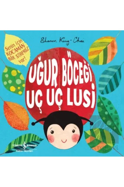 Uğur Böceği Uç Uç Lusi