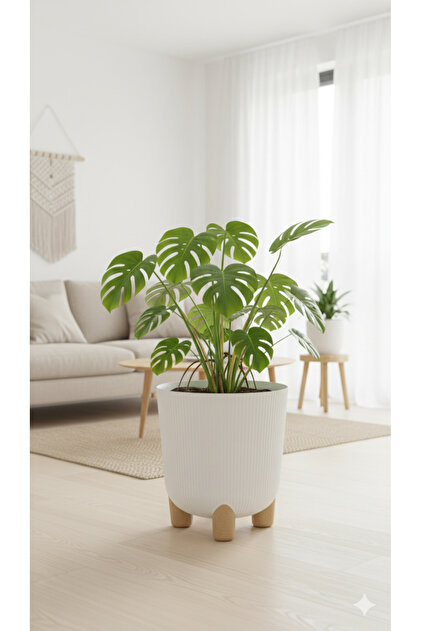 okacih Modern Stick Line Saksı Akıllı Altlıklı 25x25 Cm 9 Litre