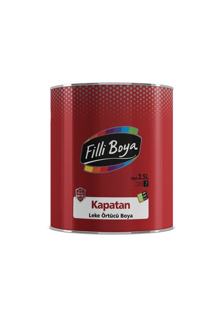 Kapatan Leke Örtücü Boya 0.25Lt