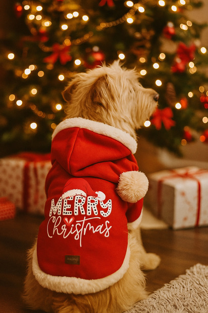 Buddy Store Christmas Outfit Dress