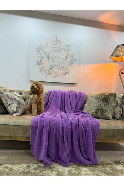 Single Blanket Soft Plush Wellsoft Purple