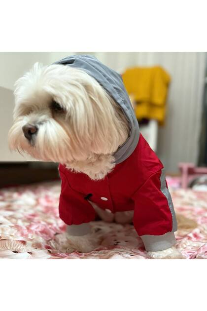 KIRMIZI Kapüşonlu Su Geçirmez Köpek Yağmurluğu – Tulum Model, Hafif ve Rahat Kullanım