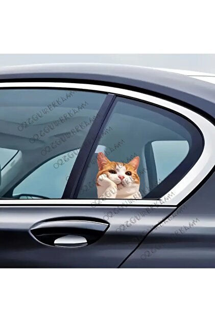 Camdan Bakan Komik Kedi Sticker / Araç Sticker / Motor Sticker