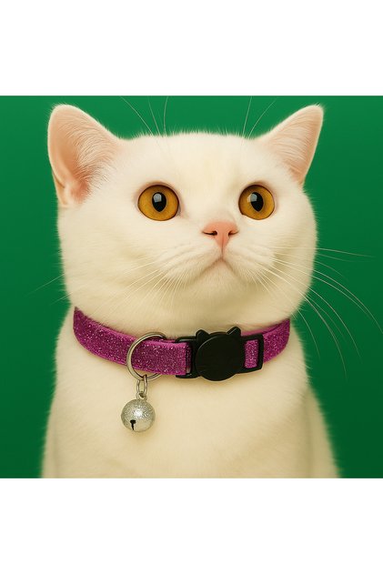 Sparkly Cat Collar – Adjustable, with Rattles, Safety Lock, with Bag, Purple Color