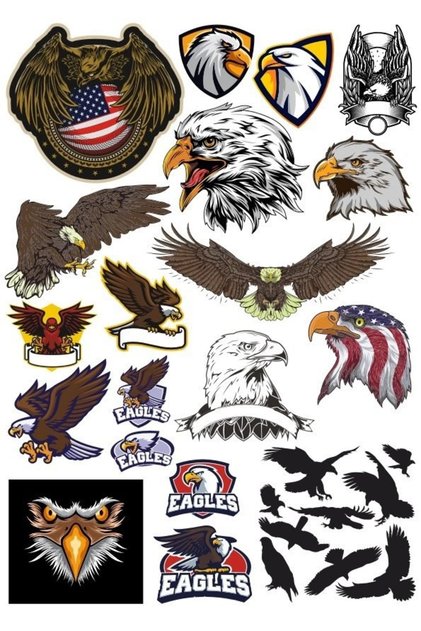 مجموعة ملصقات Eagle Eagle - 17 قطعة مكونة من 17 قطعة للهاتف والكمبيوتر اللوحي والكمبيوتر المحمول وملصق الكمبيوتر المحمول