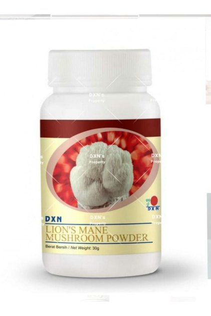 Lion's Mane Mushroom Powder 30g