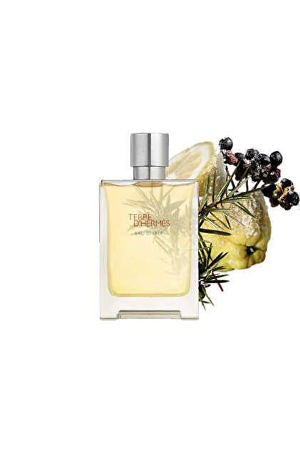 Hermes Terre D EAU Givree Edp 50 ml - Fiyatı, Yorumları