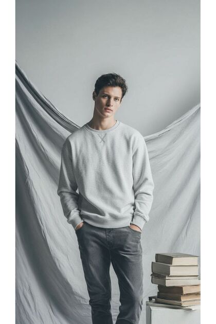 Men's Crew Neck Textured Regular Fit Basic Sweatshirt Gray Melange