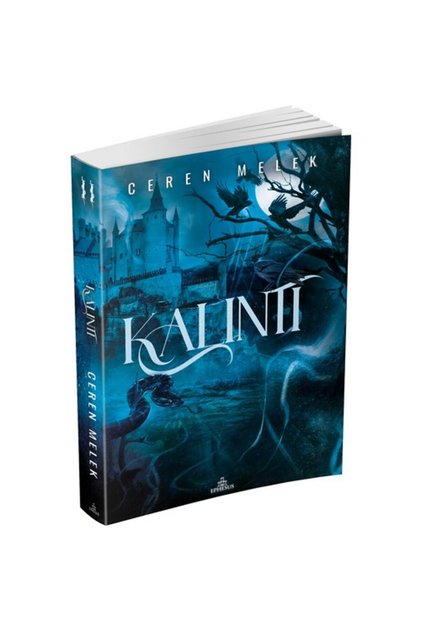 Kalıntı -2 , Ciltsiz