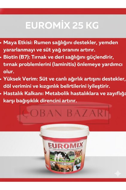 Royal Euromix 25 Kg Kova
