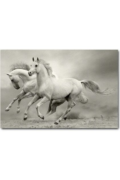 Atik wall art panel depicting white gray horses 40x60 cm