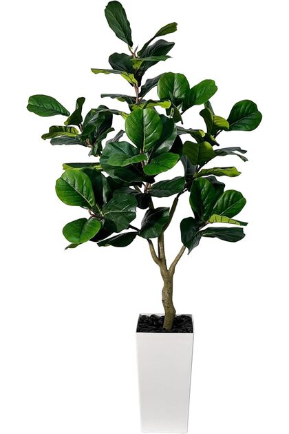 5ft Fiddle Leaf Fig Artificial Tree with White Planter (Faux Ficus Lyrata)