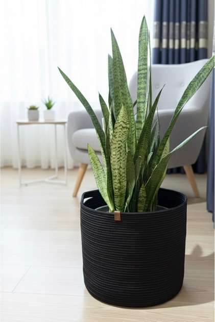 Multi-Purpose Organizer Wicker Basket, Cobalt Ilık, Organizer, Large Size, 36X36