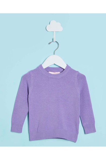 Infant Girls Purple Round Neck Basic Sweater