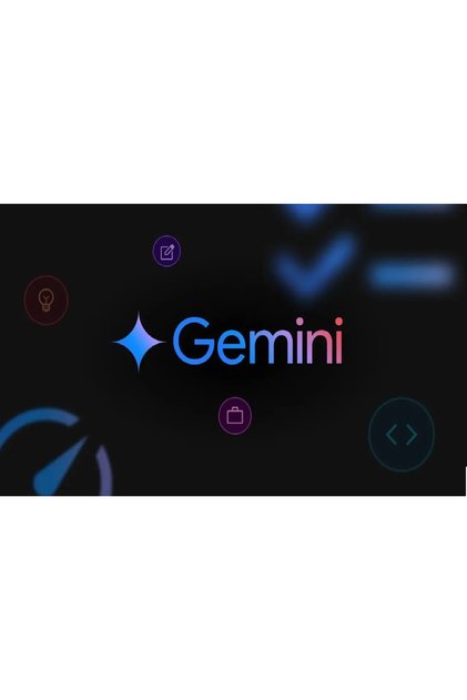 12 Aylık Google Pro
