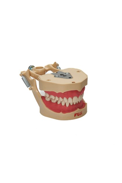 FANTOM ÇENE FUJİ / F28JAW 28'LİK DİŞ ETLİ ÇENE