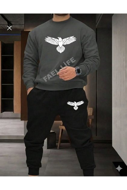 Men's Tracksuit Set Eagle Printed Seasonal Unisex