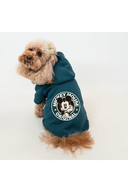 Petrol Yeşili Kedi ve Köpek Kıyafeti - Elbiseleri Sweatshirt Hoodie (Kapüşonlu %100 Pamuk)