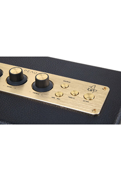 PEAQ Iconic Vibe 3 - PPA 550-RW Robbie Williams Edition 60W