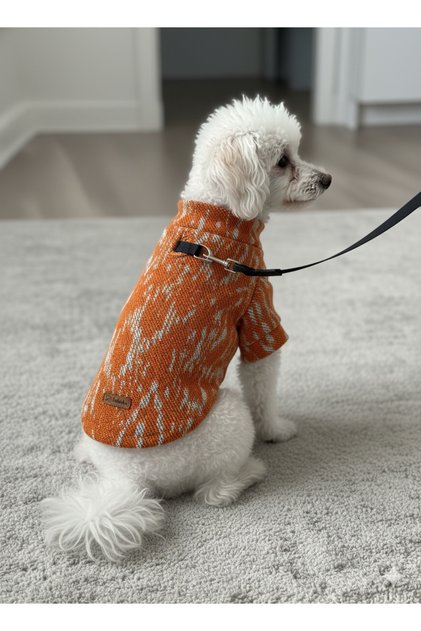 Cat - Dog Transitional - Winter Knitwear Sweater - Sweat - Coat - Vest