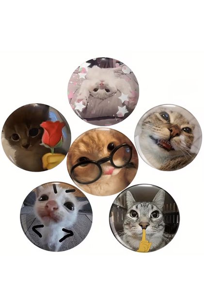 6’lı Sarkastik Komik Kedi Rozet Seti