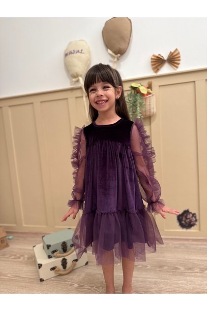 Purple Hem Ruffled Long Ruffle Tulle Sleeve Velvet Fabric Girls Kids Baby Girl Dress