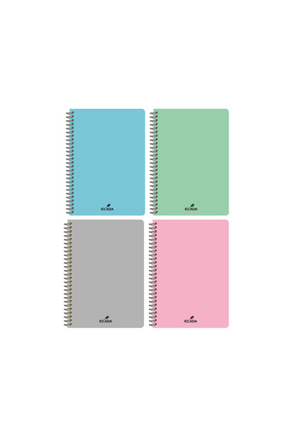 Set 4 caiete A4 Română, 80 file, spiră plastic, copertă plastic rezistentă, hârtie 70 g