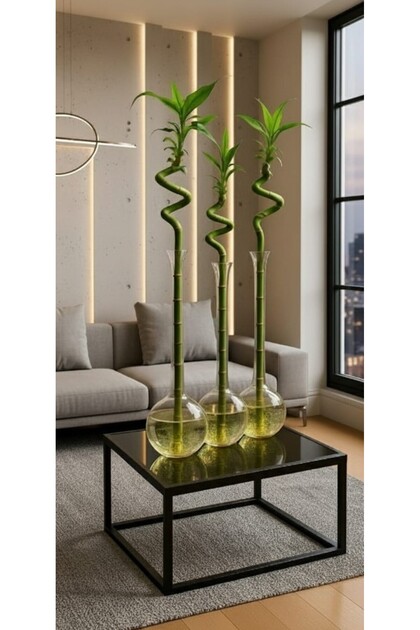 BAMBU VAZO ÇAP 12-BOY 40 CM
