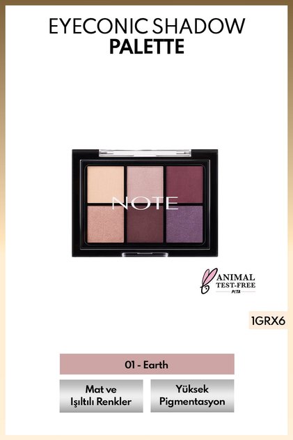 Eyeconic Eyeshadow Palette Mat ve Işıltılı Toz Göz Far Paleti - 01 Earth