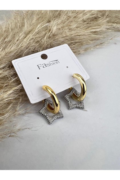 Salted Stone Star Model Earrings